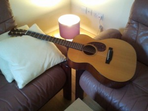 Martin OM-18V