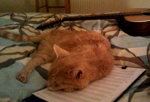 Dougal The Producer